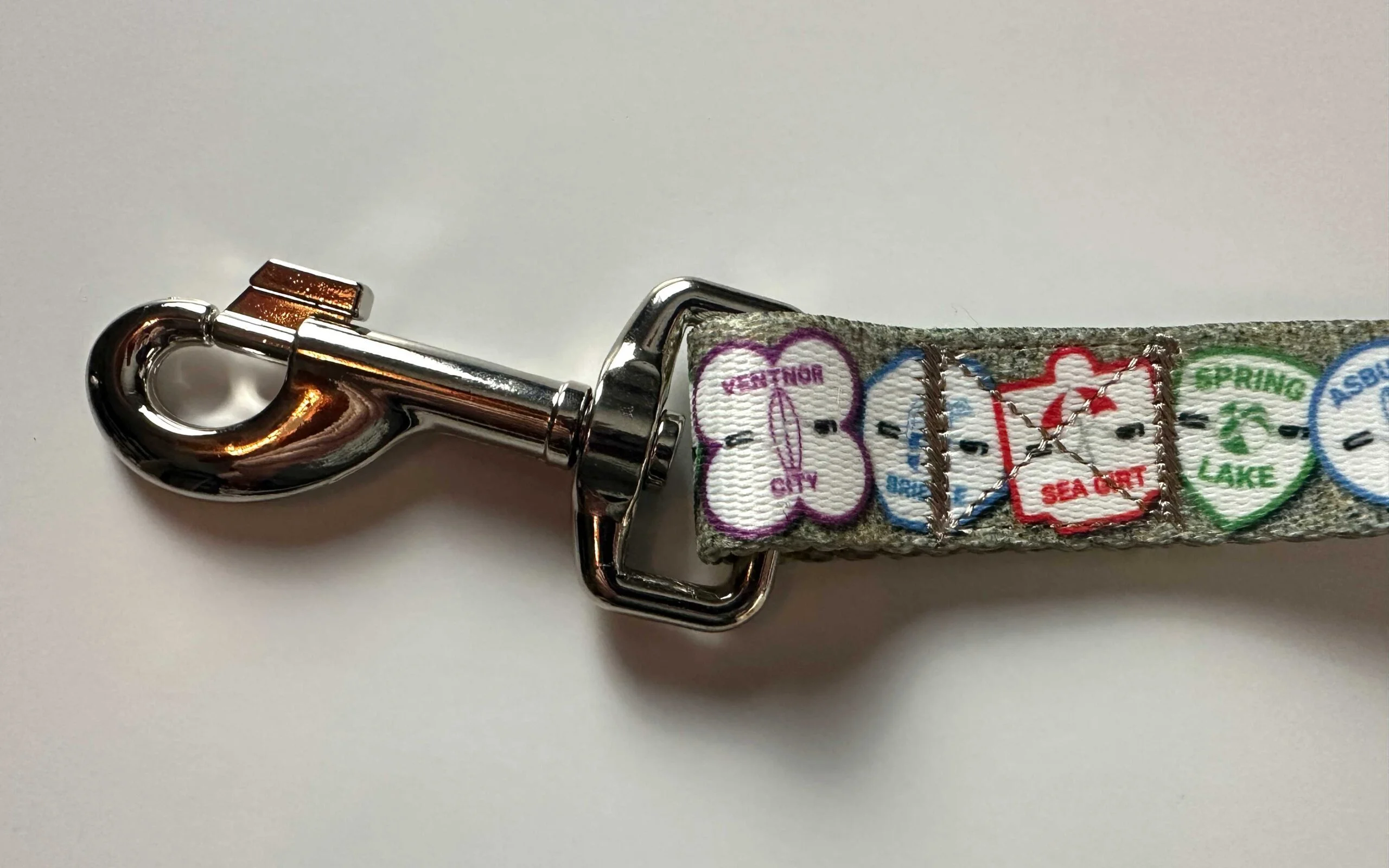 Dog Leash Clasp Closeup